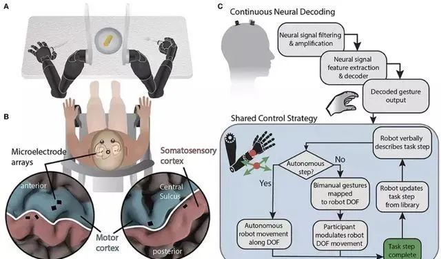 饭来张口成真：用脑机接口操纵机械臂吃蛋糕 | 约翰霍普金斯大学