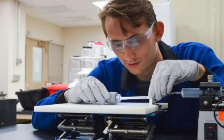 全球首个能“生长”出新身体的软体机器人!只需光和液体,受植物和真菌启发