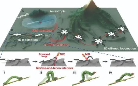 中科院最新成果!水凝胶软体机器人实现越野爬行,甚至可做“马达”移动重物!
