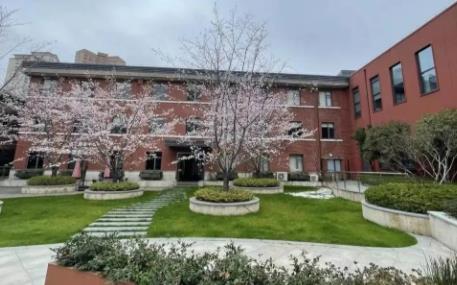 樱花为媒,链向未来